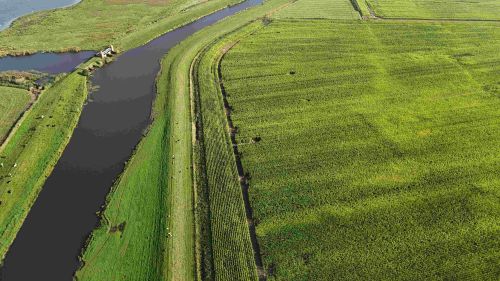 Deichabschnitt am Bongsieler Kanal