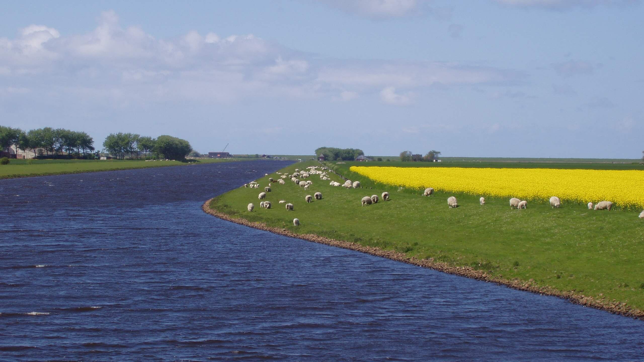Home Deich und Hauptsielverband SüdwesthörnBongsiel